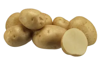 VOLARE / ВОЛАРЕ