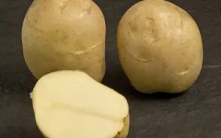 Jaerla / Джаерла