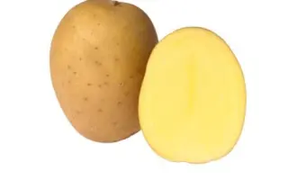 Ewelina / Евеліна