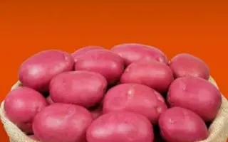 Infinity / Інфініті