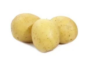 Karatop / Каратоп