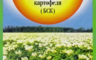 Catalina F1 / Каталіна F1