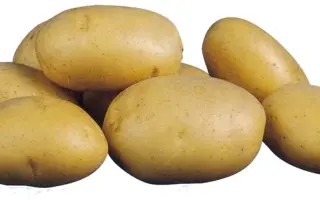 Cosmos / Космос