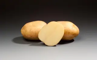 Crisper / Кріспер