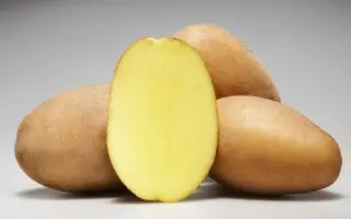 Labadia / Лабадія