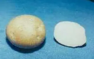 Малинська біла