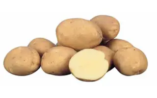 Marlen / Марлен