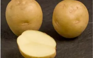 Marfona / Марфона