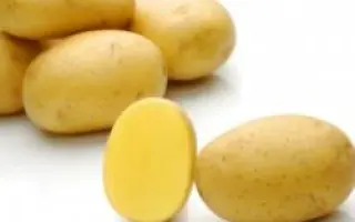 Natascha / Наташа