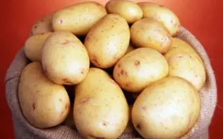 Nectar / Нектар