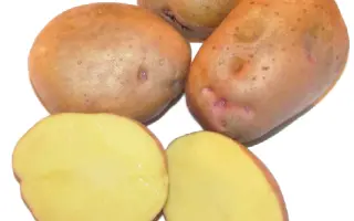 Поліське джерело