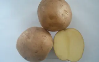 Придеснянская / Придеснянська