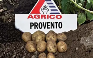 Provento / Провенто