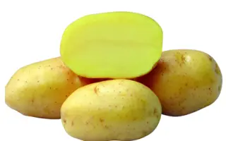 Roxana / Роксана