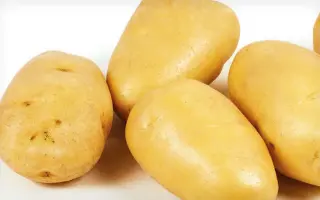 Secura / Секура