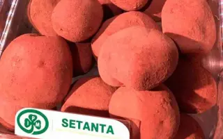 Setanta / Сетанта