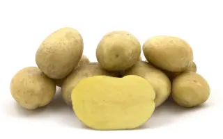 Седневский ранний / Сєднєвська рання