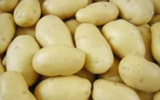 Solara / Солара