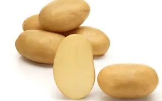 Taisiya / Таїсія