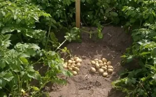 Toscana / Тоскана