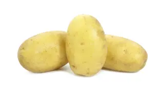 Fidelia / Фіделія