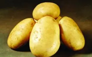 Folva / Фольва