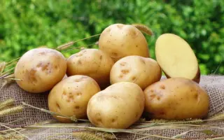 Volumia / Вольюмія