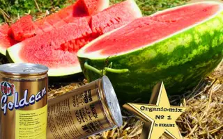 AU-Producer, PVP / АУ-Продюсер, ПВП