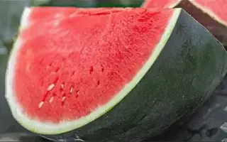 BAHAMA / БАГАМА