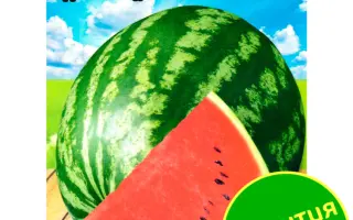 BARAKA / БАРАКА