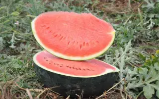 Baronessa / Баронеса