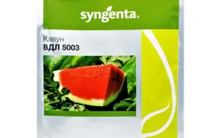 WDL 5003 / ВДЛ 5003