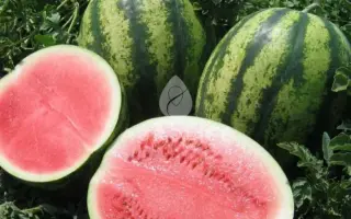 Victoria / Вікторія