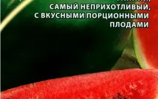 EXSPRESSION / ЕКСПРЕССІОН