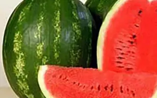 Karistan F1 / Карістан F1