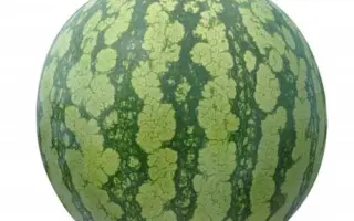 Kidman / Кідман