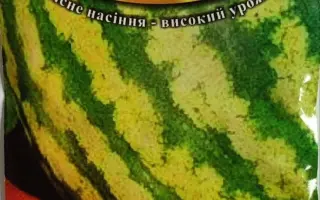 Крімсон Мелоді