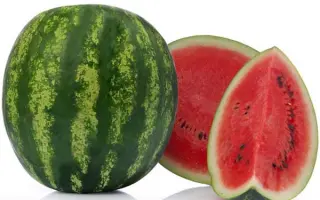 LEONARDO / ЛЕОНАРДО