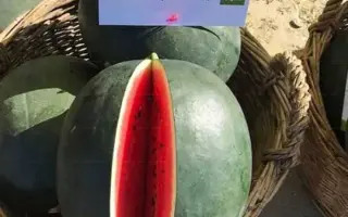 LORIAN / ЛОРІАН