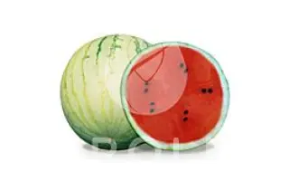 Minipol / Мініпул