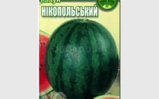 Нікопольський