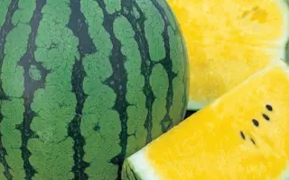 Orange King / Оранж Кінг