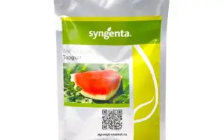 Topgan F1 / Топган F1