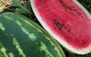 Turbo 840 / Турбо 840