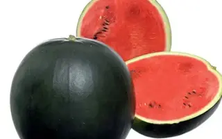 FIRE BALL / ФАЄР БОЛЛ