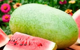 Чарльстон Грей Делюкс