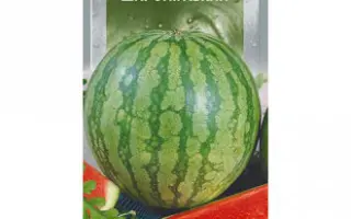 Широнинский (осенний) / Широнінський