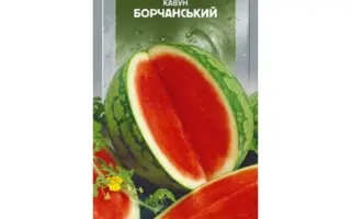 Борчанский / Борчанський