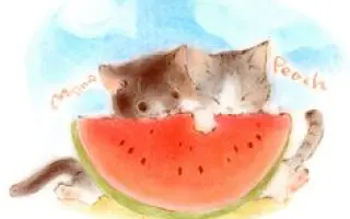 Gatinho / Гатіньу