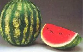 Granit F1 / Граніт F1